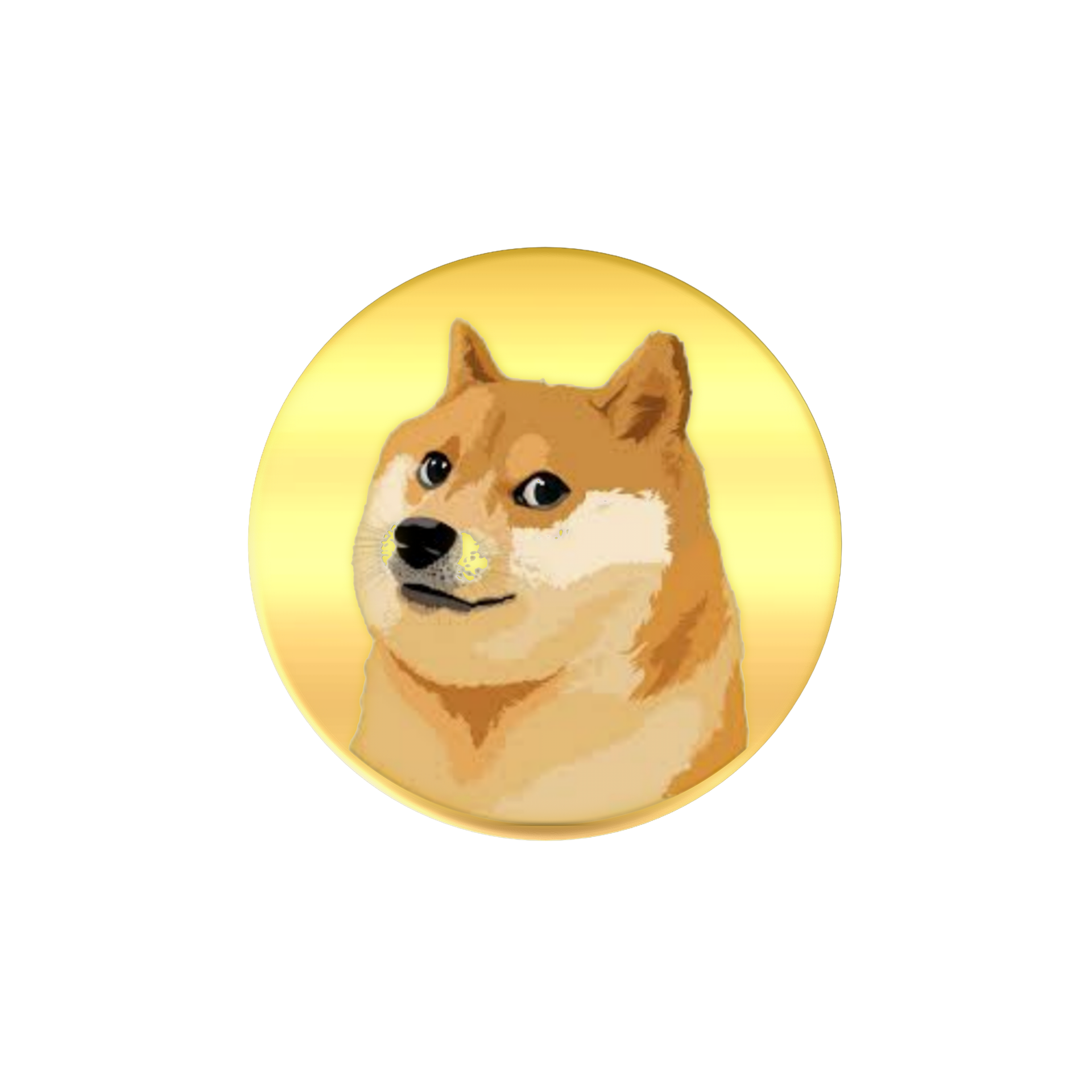 IS DOGECOIN WORTH MINING?